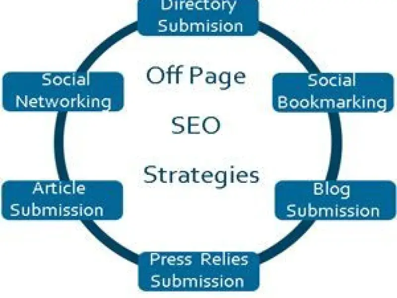 Professional Backlink Building Services process