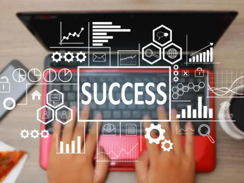 Professional Local SEO Optimization process